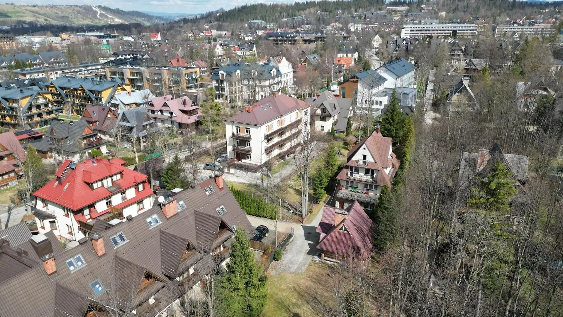 Mountain Spirit Dream Studio Zakopane Apartment